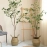 Simulation Plant Artificial Ficus Branches Non-fading Great Fidelity Realistic Decor Toon Leaves Camellia Leaf Household Stuff